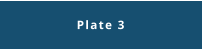 Plate 3