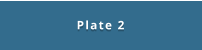 Plate 2