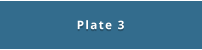 Plate 3