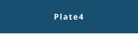 Plate4